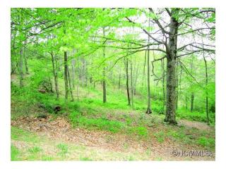 71 View Ridge Pkwy, Leicester, NC