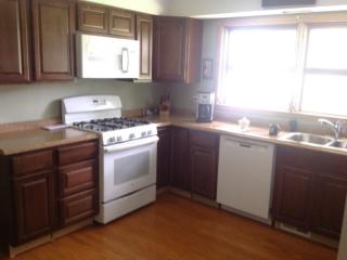 6112 Middaugh Ave, Downers Grove IL  60516-1826 exterior
