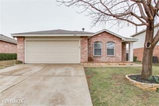 8712 Stonebriar Ln, Fort Worth TX  76123-2536 exterior