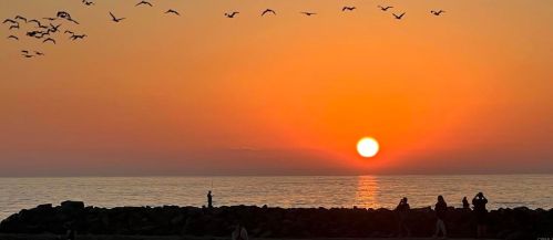 6503 Surfside Ln, Carlsbad, CA 92011-3210