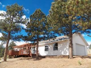 34 Fetlock Cir, Twin Rock, CO 80816-8704