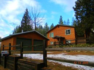 202 Davis Lake Rd, Usk, WA 99180-9794