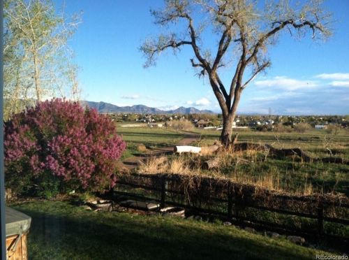 12859 55th Pl, Arvada CO  80002-1338 exterior