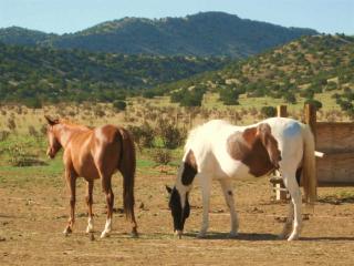 312 Old Windmill Trl, Madrid, NM 87010