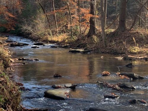 143 Ward Rdg Rd, Big Canoe GA  30143-0066 exterior