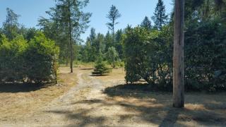 2908 381st St, Roy, WA 98580-8910