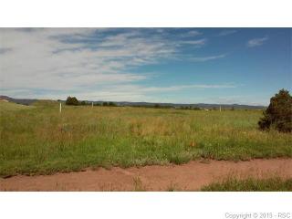 19120 Royal Troon Dr, Woodmoor CO  80132-2837 exterior