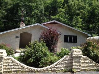1911 Lovers Gap Rd, Vansant, VA 24656-5000