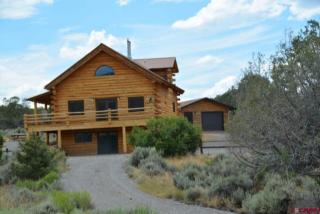 23953 Horsefly Rd, Montrose, CO 81403-8526