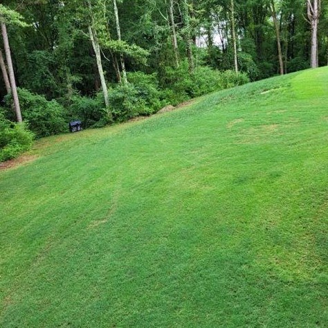 440 Andrew Ridge Dr, Jefferson GA  30549-6977 exterior