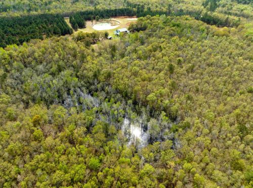 4488 Pond Town Rd, Brunson SC  29911-3801 exterior