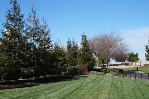570 Cutting Horse Dr, Valley Home, CA 95361-8950