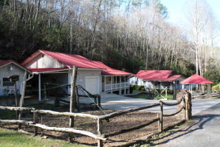 80 Cougar Ln, Whittier, NC 28789-9009