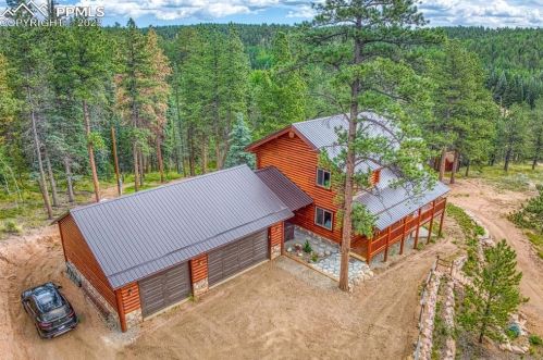 539 Bison Creek Trl, Divide, CO 80814-9238
