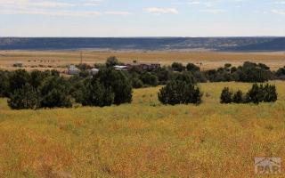 6041 Waterbarrel Rd, Beulah, CO 81023-9775