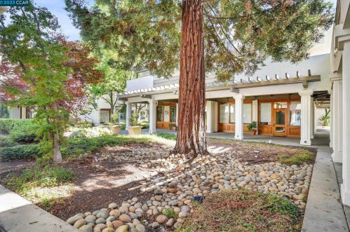 72 Mozden Ln, Concord CA  94523-3369 exterior