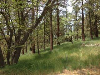 27851 Sonora Ct, Tehachapi, CA 93561-9608