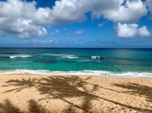 59-003 Holawa Pl, Haleiwa, HI 96712-9704
