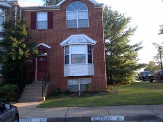 46695 Paragon Ter, Dulles VA  20164-6328 exterior