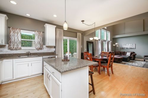 1433 Schoenherr Ave, Lemont IL  60490-3216 exterior