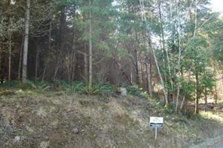 8911 Wapiti Ln, Tenino, WA 98589-8213