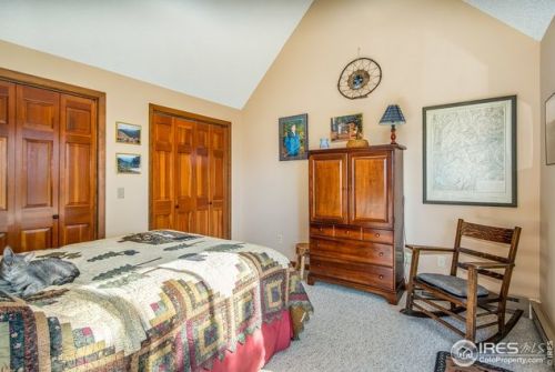 1601 Zermatt Trl, Estes Park CO exterior