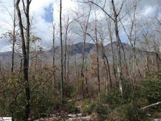 4721 Highway 11, Pickens, SC 29671-9562