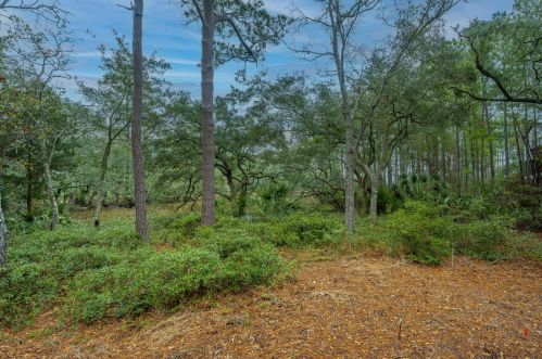 261 Slipper Shell Ct, Mount Pleasant SC  29464-6724 exterior