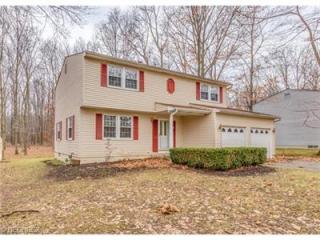 7460 Brenel Dr, Concord Township, OH 44060-7248