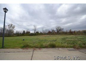220 Wyndridge Ct, Belleville, IL 62226-6913
