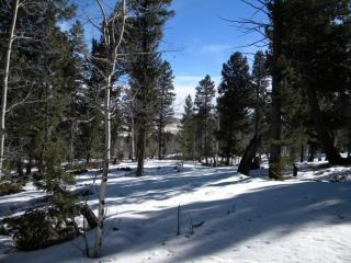 1421 Blacksmith Rd, Hartsel, CO 80449-8598