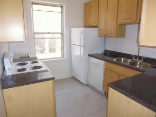 3917 Pine Grove Ave, Chicago IL  60613-3390 exterior
