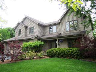 10350 Helene Ave, Naperville, IL 60564-8069