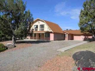 578 Ginters Grove Ln, Grand Mesa CO  81413-8214 exterior