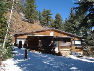 13537 State Highway 67, Deckers, CO 80135-9638