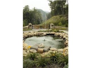 156 Anatole Pass, Townsend, TN 37882-3035