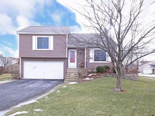 2540 Brunswick Cir, Downers Grove IL  60517-5022 exterior
