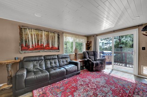 15 Rainbow Ln, Divide, CO 80814-8910