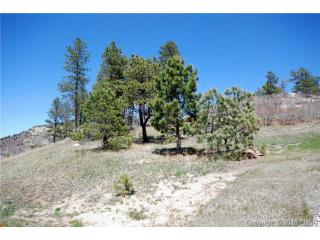 20243 High Pines Dr, Woodmoor, CO 80132-8383