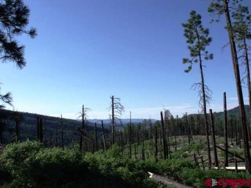 379 Blue Spruce Dr, Vallecito, CO 81122-9732