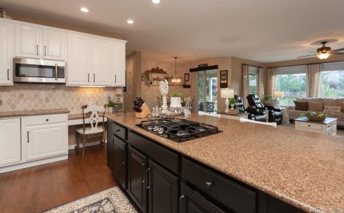 4981 Sedona Cir, Parker CO  80134-4528 exterior