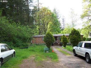 206 283rd Ave, Camas, WA 98607-9533
