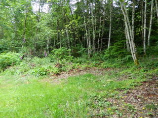 211 Hamma Ridge Dr, Eldon, WA 98555-9654