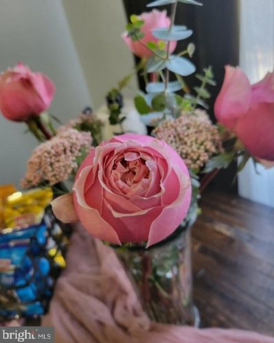 6312 10th St, Philadelphia PA 19141-3804 exterior