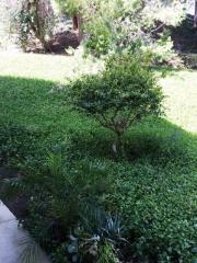 29111 Thousand Oaks Blvd, Calabasas CA  91301-1687 exterior