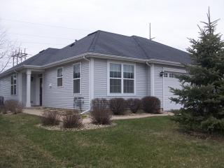 719 Bellevue Cir, Oswego, IL 60543-6046