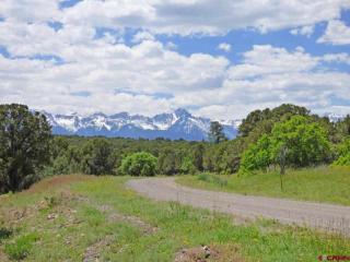 188 Tower Rd, Ridgway, CO 81432-9461