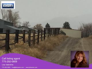 47 Wedertz Ln, Wellington, NV 89444-9559