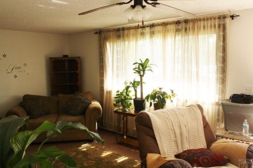 2829 Baltimore Ave, Pueblo, CO 81003-1319