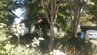 2556 Juneau St, Seattle, WA 98108-3143